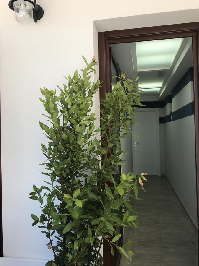 Elisir Suite Rooms By Marino Tourist San Vito Lo Capo Exterior photo